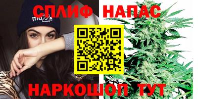 гашик Кулебаки